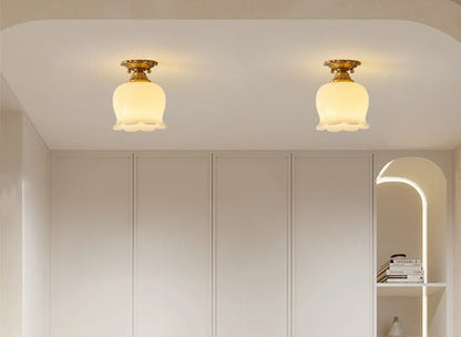 IWHD Home Lighting LED Ceiling Lights Decoration Aisle Porch Living Room Light Fixtures Nordic Ceiling Lamp Resin Copper Lustres