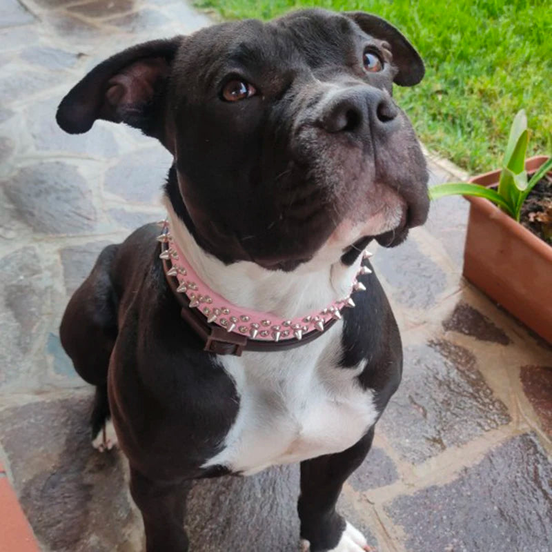 PU Dog Collar with Spike Rivet Adjustable Anti-Bite Pet Collars for Small Medium Large Dogs Bull Terrier Doberman Pinscher