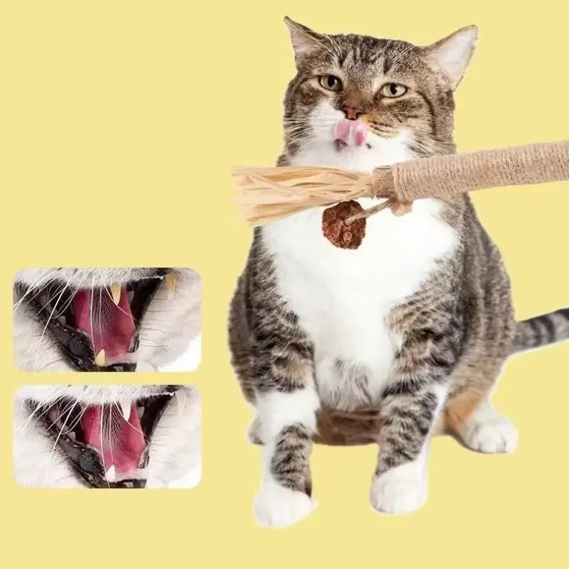 Cat Toys Made Of Wood Knotweed Teething Sticks Insect Galls Raffia Sisal Rope Teeth Cleaning Toys Cat Teasing Sticks