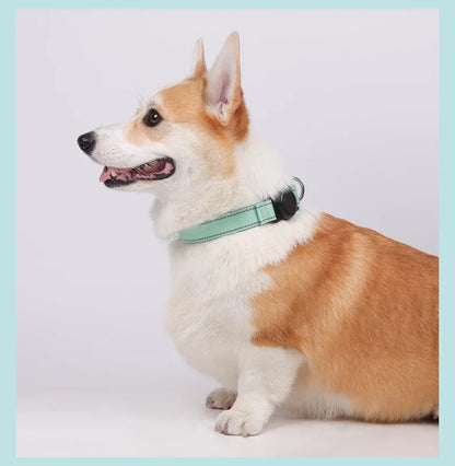 Dog Collar with Airtag Holder Ultra-Durable Comfortable Padded Heavy Duty Dog Collars for Small Medium Large Dogs