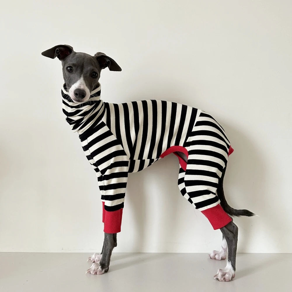 4-legged Cotton Coat for Dog Greyhounds Loungewear Spring Autumn Whippet Dog Black Striped Sweatshirt Bellington High-Neck Shirt