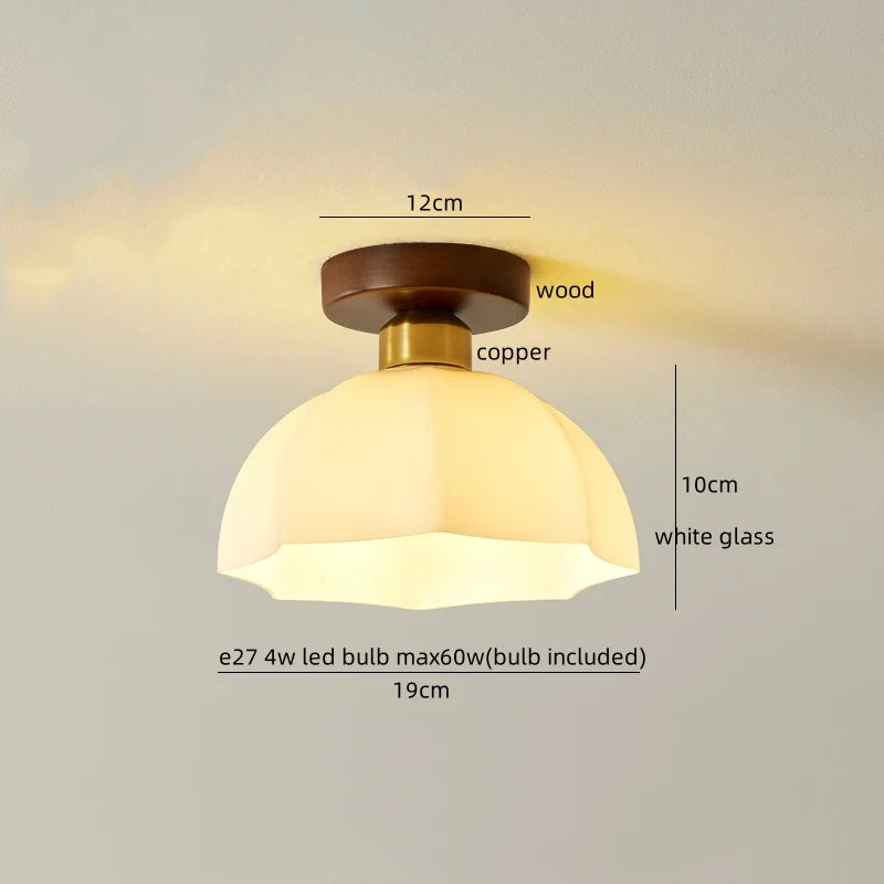 IWHD Home Lighting LED Ceiling Lights Decoration Aisle Porch Living Room Light Fixtures Nordic Ceiling Lamp Resin Copper Lustres