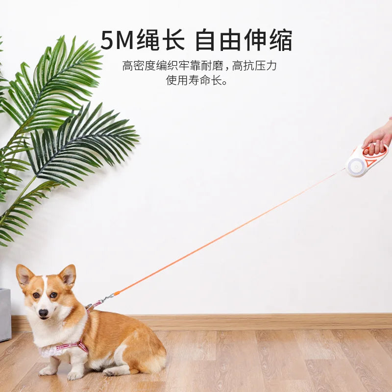 3M/5M Automatic Retractable Dog Leash with Flashlight, LED Glowing at Night Walking Leash, Durable Nylon Outdoor Leash for Dog