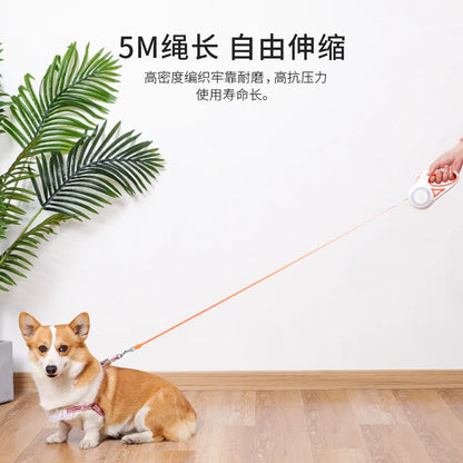 3M/5M Automatic Retractable Dog Leash with Flashlight, LED Glowing at Night Walking Leash, Durable Nylon Outdoor Leash for Dog