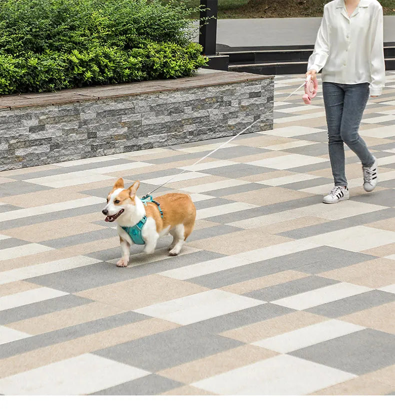Pet Traction Device Multi Functional Dog Traction Rope Automatic Telescopic LED Lighting Dog Chain Walking Tool New DropShipping
