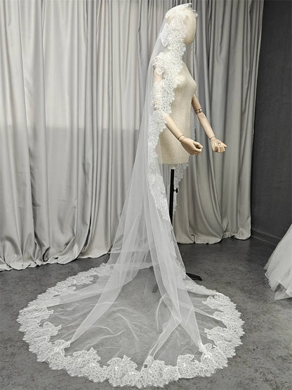 Customized Long Mantilla Veil with Eyelash Lace, 2.5m/3m Ivory Veil with Hidden Comb, Chantilly Eyelash Lace Wedding Veil