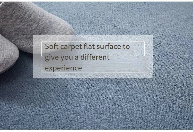 Round Thickened Coral Velvet Carpet Soft Bedroom Mats Bed Full Living Room Rugs Tatami Mat Computer Desk Balcony  Blanket