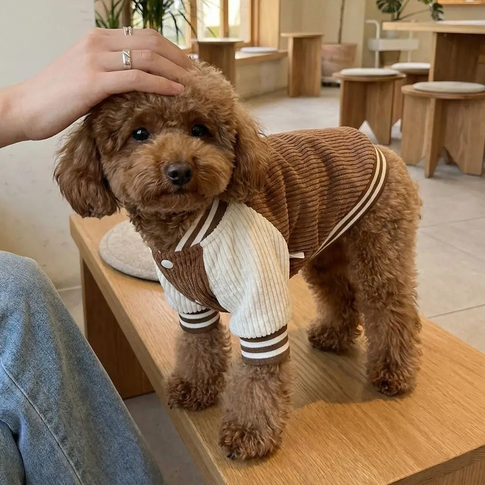 Warm Pet Baseball Jackets Comfortable Embroidered Patterns Two-Legged Dog Clothing Thicken Dog Sweatshirt Daily Walk