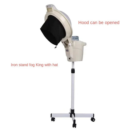 Hair Steamer Luxury Household Oil Treatment Machine Hair Salon