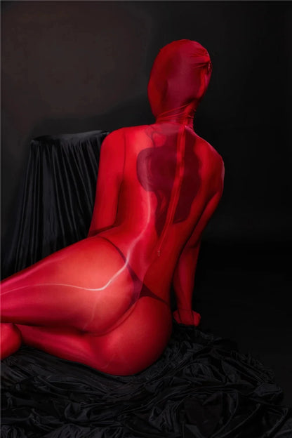 Zipper Open Full Body Catsuit with JJ Pouch Thin Sheath Transparent Body-stocking Unisex Sheer Bodysuit Sexy Lingerie Jumpsuit
