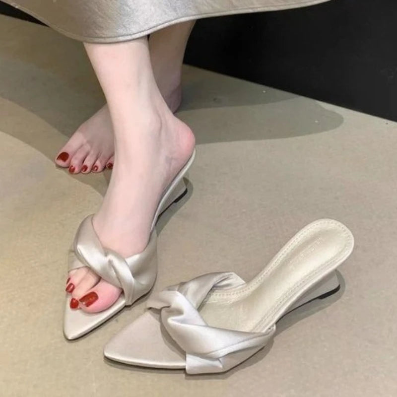 Pointed Toe Women Slippers Wedges Mid Heels Shoes Designer Elegant Pumps Summer 2026 New Sandals Fashion Slides Flip Flops Lady