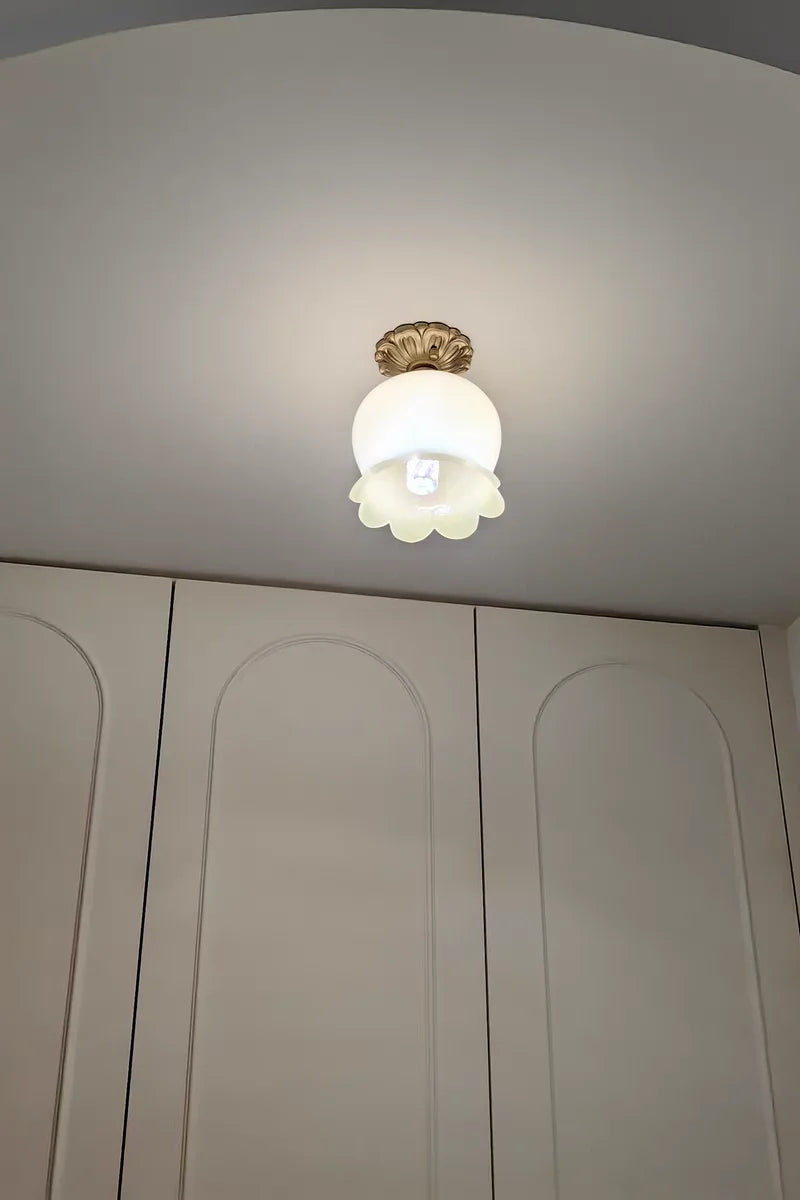 IWHD Home Lighting LED Ceiling Lights Decoration Aisle Porch Living Room Light Fixtures Nordic Ceiling Lamp Resin Copper Lustres