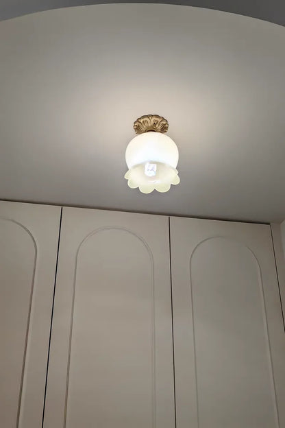 IWHD Home Lighting LED Ceiling Lights Decoration Aisle Porch Living Room Light Fixtures Nordic Ceiling Lamp Resin Copper Lustres