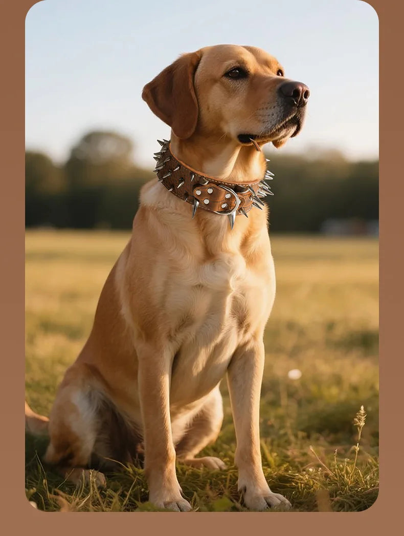 5CM Wide Spiked Studded Dog Collar Anti-Bite PU Leather Pet Collar for Large Dogs Pitbull Mastiff Pet Supplies Accessories