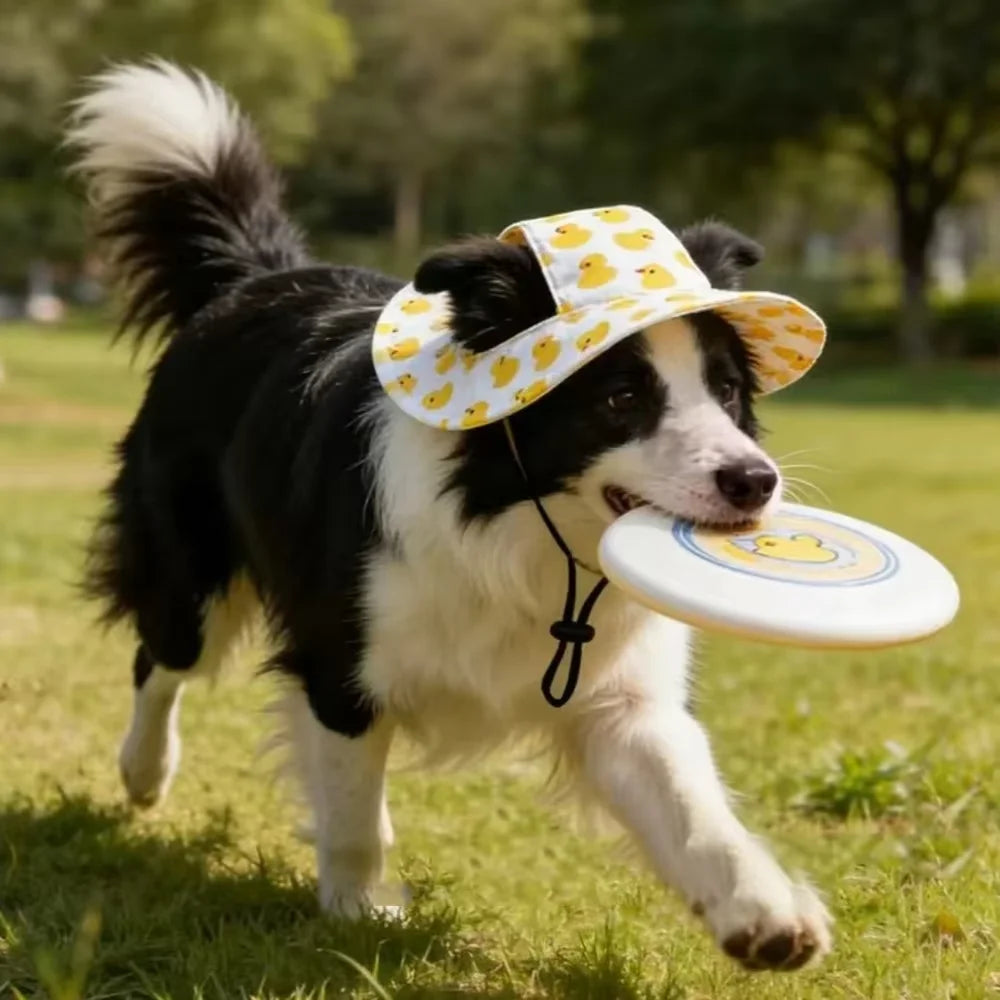 Pets Hat with Ear Holes Adjustable Baseball Cap for Medium Small Dogs Summer Fashion Cats Sun Cap Pet Outdoor Hat Pet Supplies