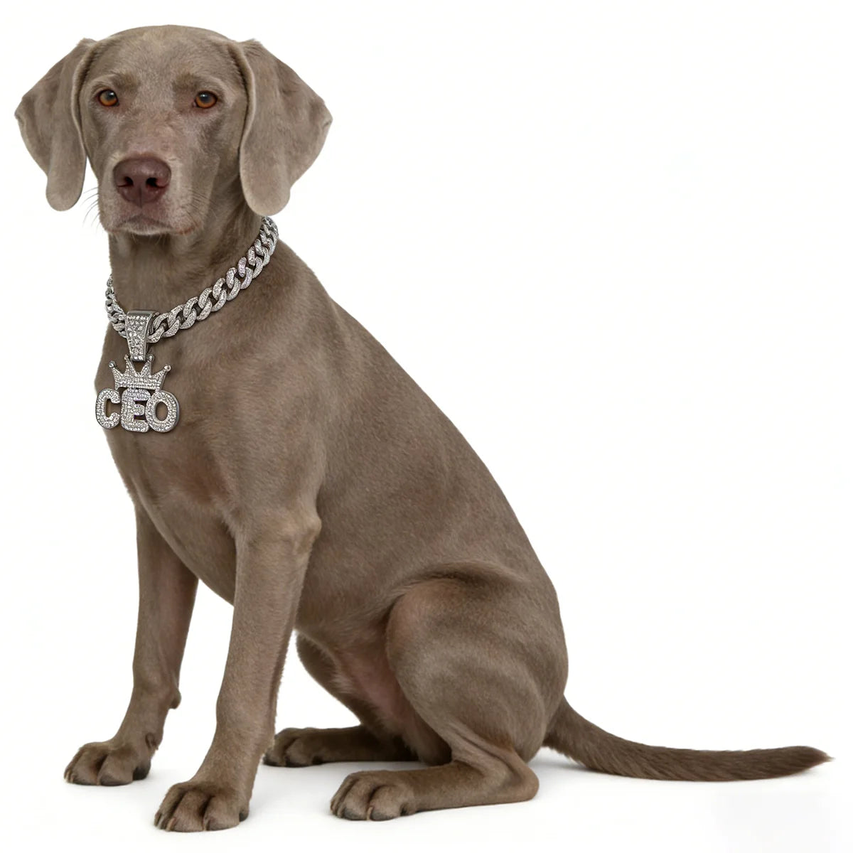 Cuban Dog Chain, Alloy Pet Dog Collar, Gold Necklace for Small to Large Dogs CEO BOSS Luxury Pendant Jewelry Accessory 2026 NEW