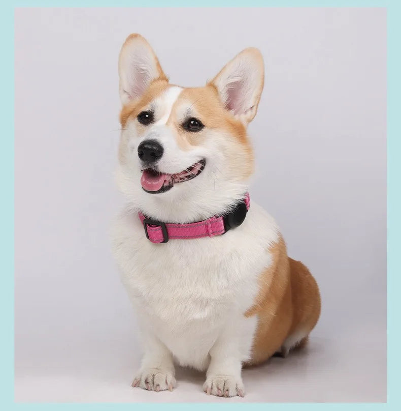 Dog Collar with Airtag Holder Ultra-Durable Comfortable Padded Heavy Duty Dog Collars for Small Medium Large Dogs