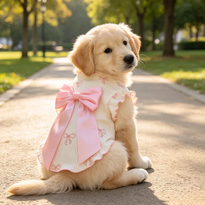 Breathable Lightweight Dog Tshirt Pet Vest Summer Wear Comfortable Elastic Soft for Small Dogs Cats Cute Design Pet Clothing Summer Outfit