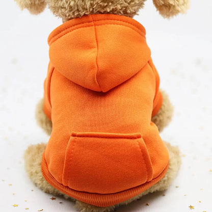 Puppy Pet Hooded Sweatshirt Autumn Winter Two-legged Pocket Cat Dog Clothes