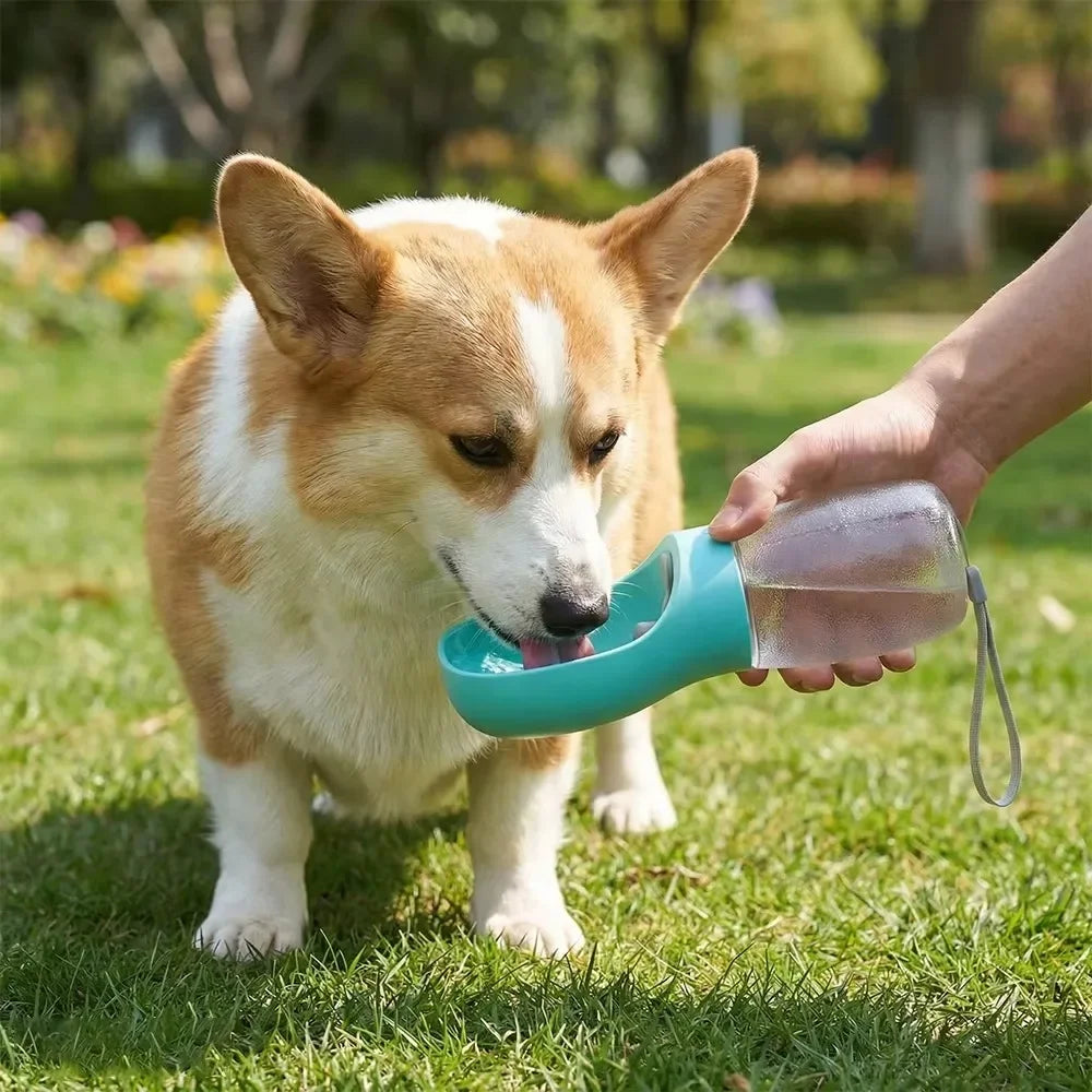 Portable Dog Water Bottle 300ml Leakproof Travel Pet Bowl for Small Large Dogs Hiking Outdoor Dispenser French Bulldog Supplies
