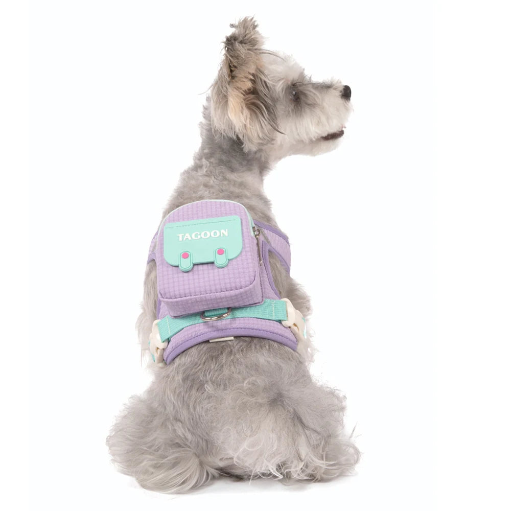 Cute Backpack Dog Harness with Leash, Reflective Soft Pet Vest for Small Medium Dogs Cats, Adjustable Walking Harness Set
