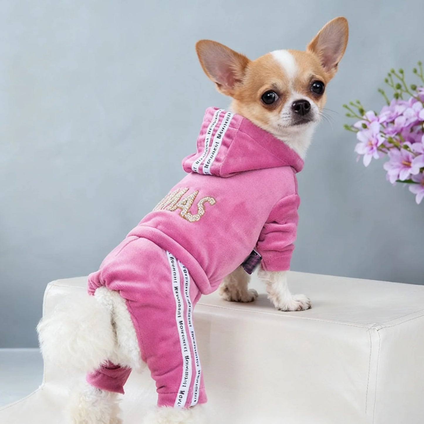 Luxury Velvet Dog Clothes,Dog Jumpsuit,Small Medium Dogs,Yorkie Puppy Costume,Hooded Coat,Tracksuit Overalls,Autumn,Winter