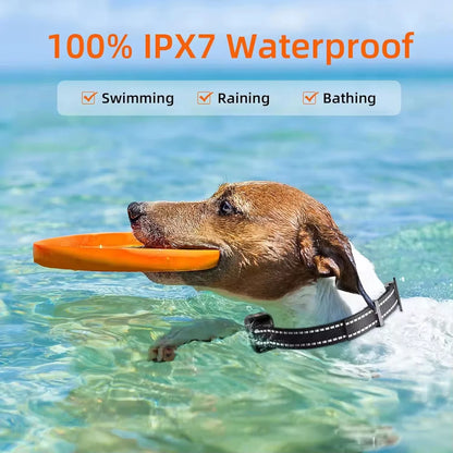 Paipaitek 1000M Dog Training Collar All Size Dog Waterproof Electric Collar for Dog Training Rechargeable Dog Anti Bark Collar