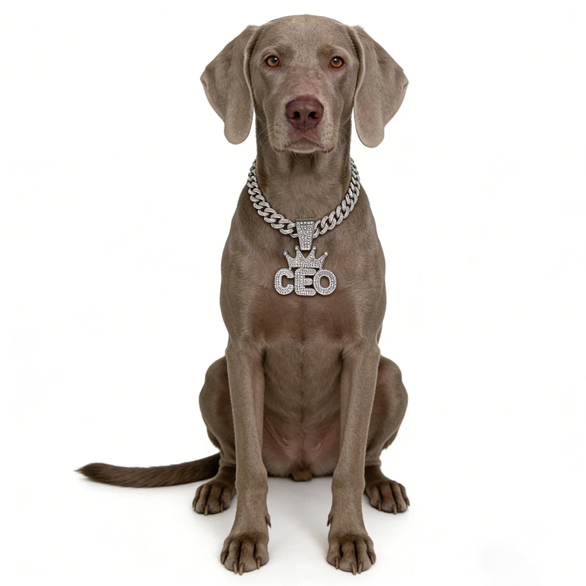 Cuban Dog Chain, Alloy Pet Dog Collar, Gold Necklace for Small to Large Dogs CEO BOSS Luxury Pendant Jewelry Accessory 2026 NEW