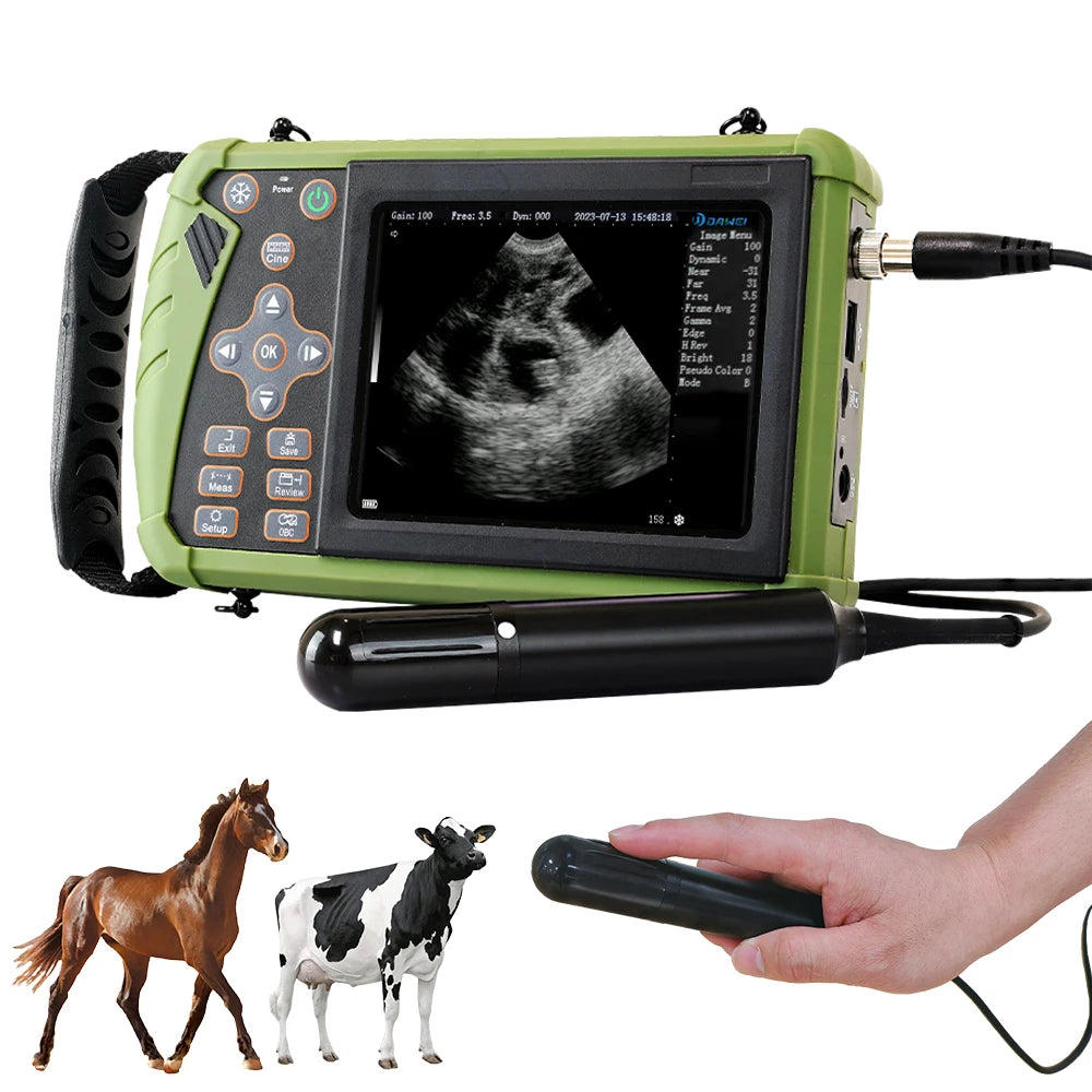 DAWEI Portable Veterinary Ultrasound Scanner Handheld Vet Pregnancy Machine for Horse Cattle Camel, 3.5MHz Rectal Probe