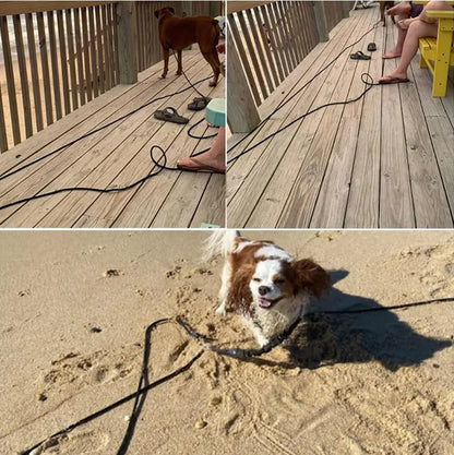 5M/10M/15M Long Rope Training Dog Leash- Heavy Duty Nylon Recall Agility Training Dogs Lead Leash For Medium Large Dog Leash