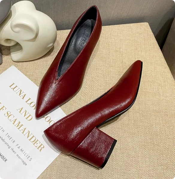 Sandals Luxury Brand Sexy Dress Shoes Elegant Chunky High Heeeled Pumps Sexy Pointed Toe Evening Shoes Women Shoes V Cut Shoes