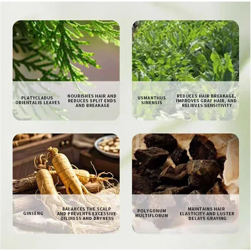 Arborvitae Leaf Shampoo Bar Usman Herbs Strengthen Hair Thicken Hair  Oil Control Anti-dandruff Oriental Natural Shampoo Bar