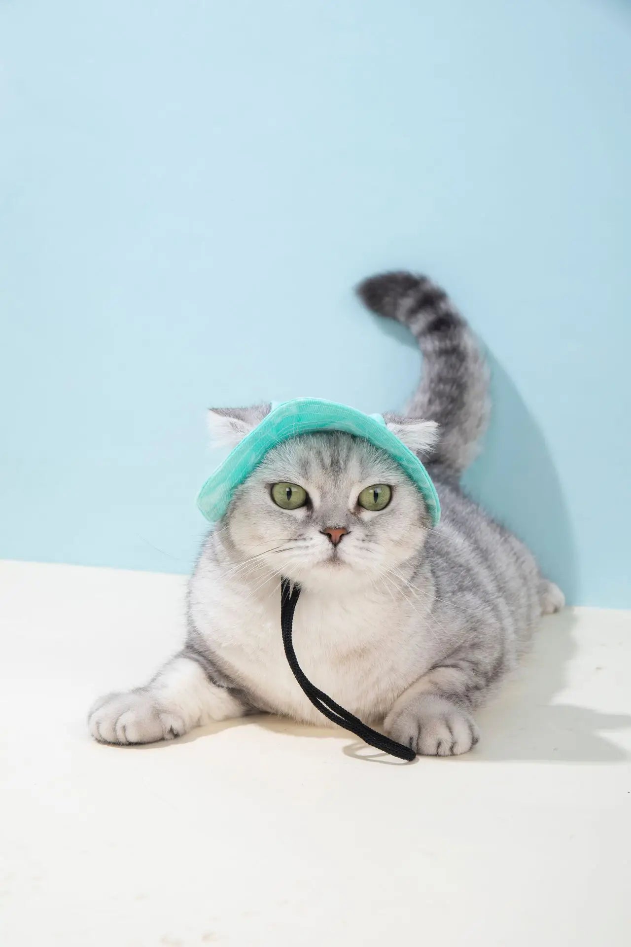 Pets Hat with Ear Holes Adjustable Baseball Cap for Medium Small Dogs Summer Dye Cats Sun Cap Pet Outdoor Hat Pet Supplies