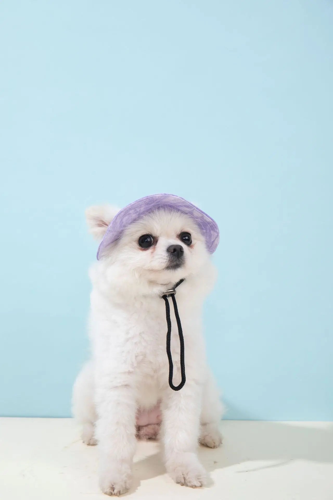 Pets Hat with Ear Holes Adjustable Baseball Cap for Medium Small Dogs Summer Dye Cats Sun Cap Pet Outdoor Hat Pet Supplies