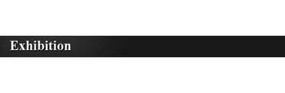 Training Prong Dog Collar Removable Black Pet Link Chain Adjustable Stainless Steel Metal Spike Necklace with Comfort Rubber Tip
