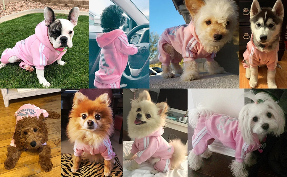 Four Legged Pet Dog Hoodie   Puppy Jumpsuit Letters Overalls for Small Medium Dogs Pomeranian Pajamas Winter Dog Jumpsuit