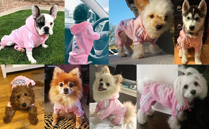 Four Legged Pet Dog Hoodie   Puppy Jumpsuit Letters Overalls for Small Medium Dogs Pomeranian Pajamas Winter Dog Jumpsuit