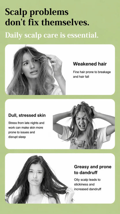 Electric Spray Hair Brush Leave-In Essential Oil Hair Care Red Light Comb Scalp Massage Reduce Frizz Smoothing Air Cushion Comb