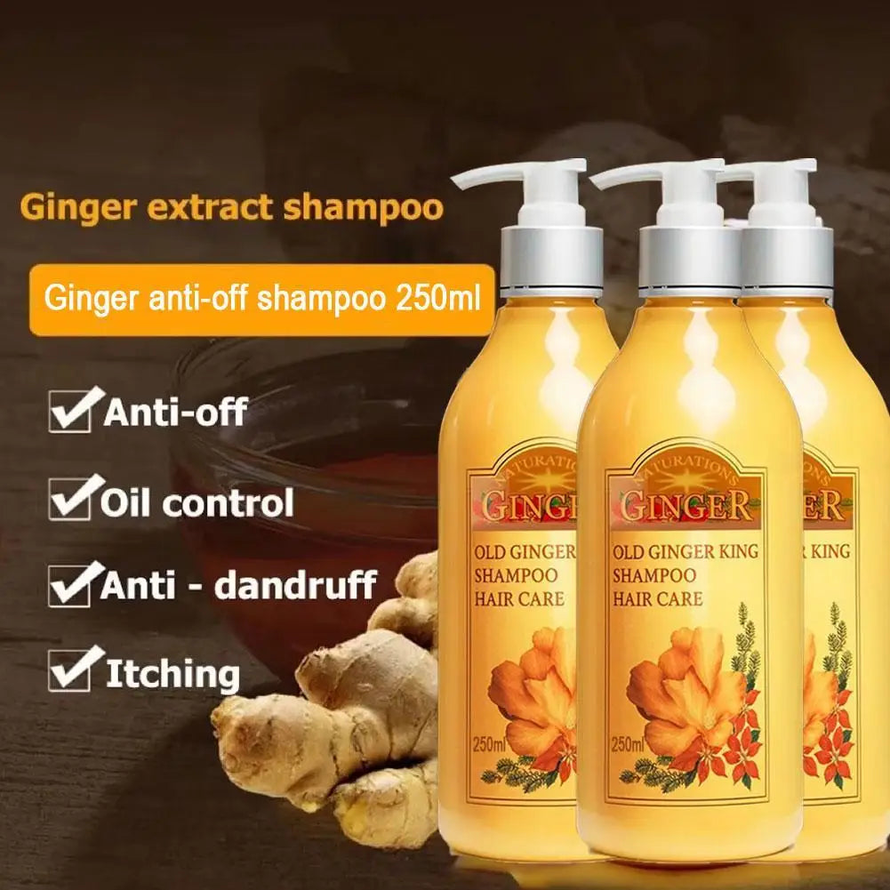 250ml Old Ginger Juice Hair Shampoo Professional Hair Scalp Treatment Oil Control Dense Anti Hair Loss