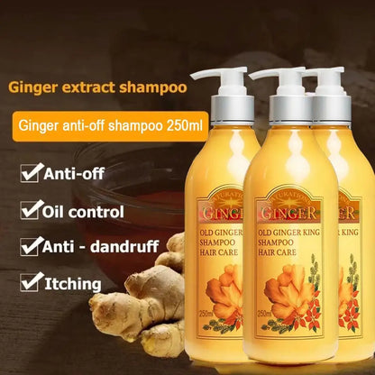 250ml Old Ginger Juice Hair Shampoo Professional Hair Scalp Treatment Oil Control Dense Anti Hair Loss