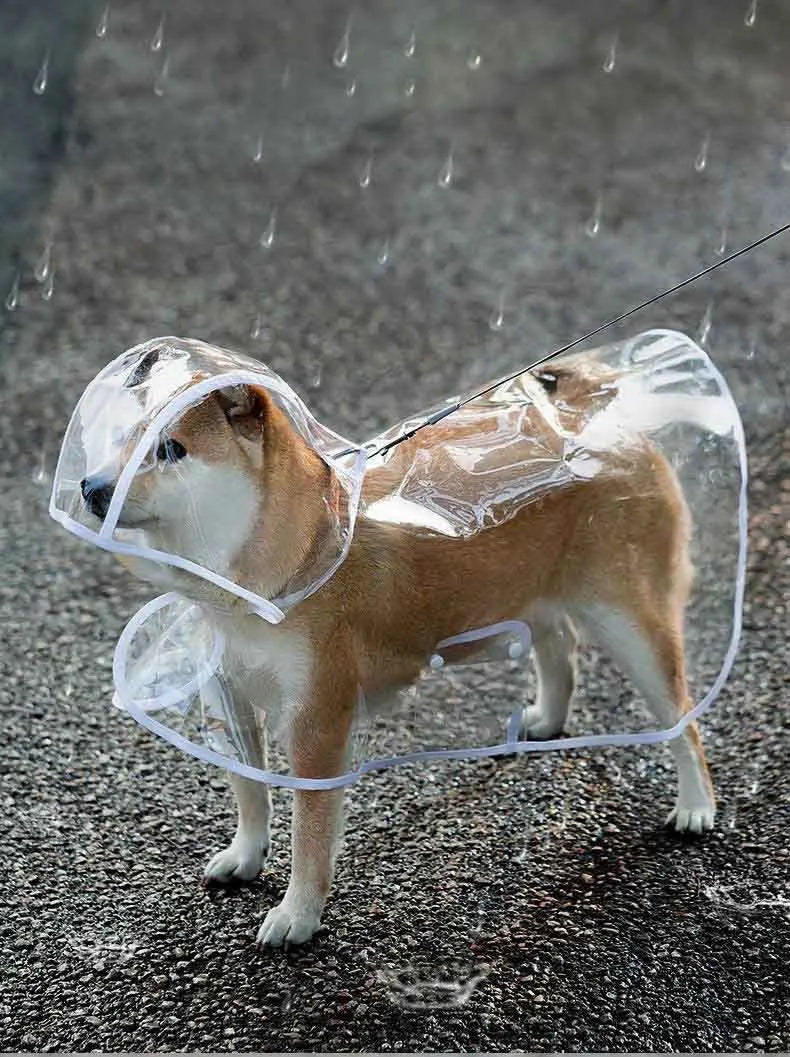 Dogs going out, transparent waterproof raincoat with hat pet raincoat