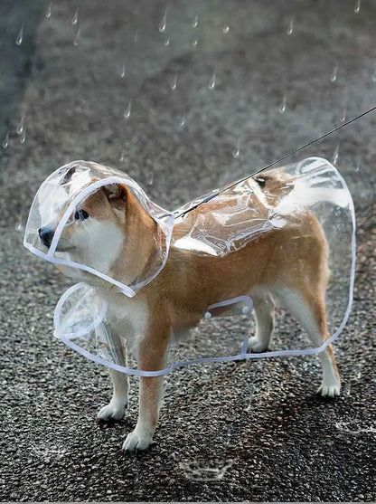 Dogs going out, transparent waterproof raincoat with hat pet raincoat