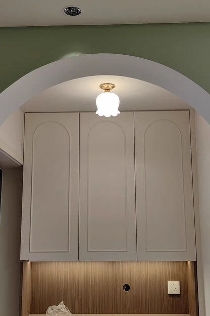 IWHD Home Lighting LED Ceiling Lights Decoration Aisle Porch Living Room Light Fixtures Nordic Ceiling Lamp Resin Copper Lustres