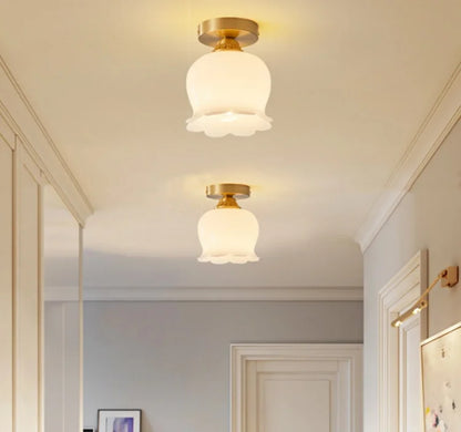 IWHD Home Lighting LED Ceiling Lights Decoration Aisle Porch Living Room Light Fixtures Nordic Ceiling Lamp Resin Copper Lustres