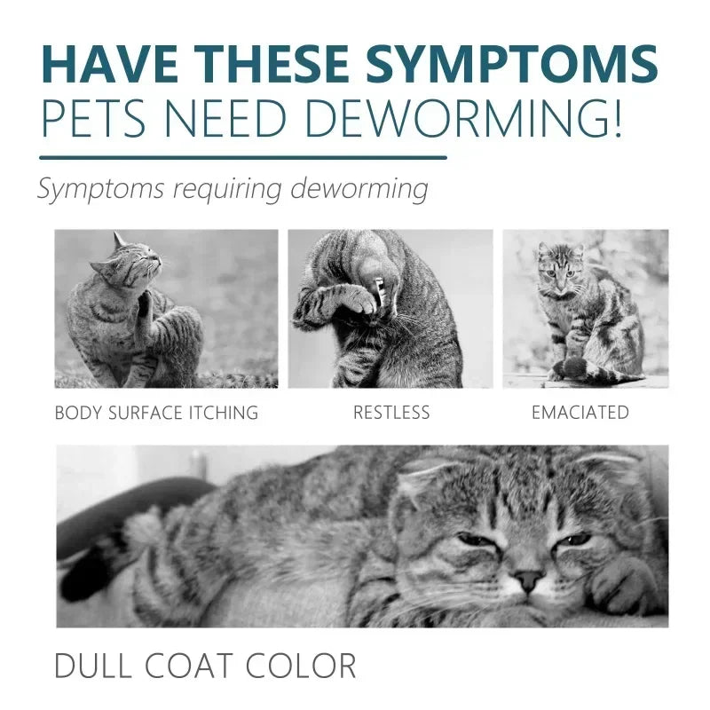 50ml Pet  Flea Tick Agent for Cats, Dogs, and Dogs. Extracorporeal Deworming  Cleaning Agent for Lice, Ticks, and Ticks
