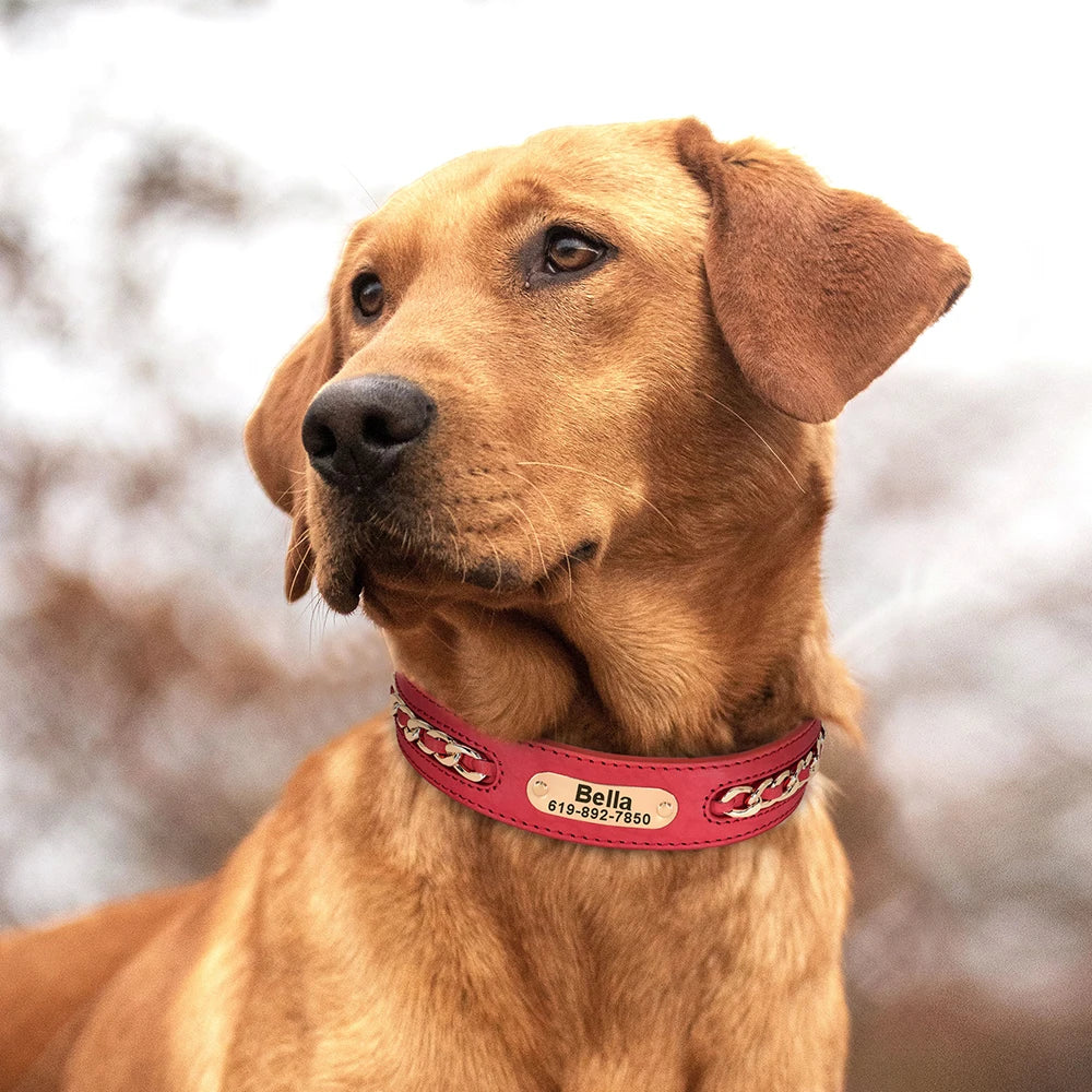 Custom Leather Dog Collar Accessories Personalized ID Tag Nameplate Collars For Small Medium Large Dogs French Bulldog Pitbull