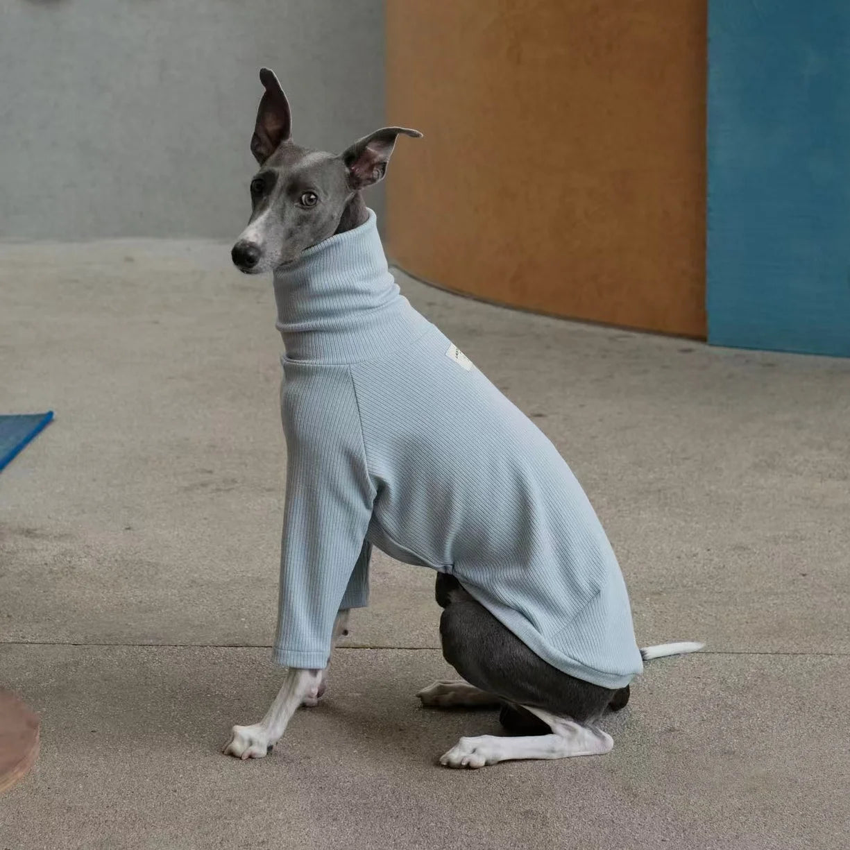 Spring Clothing for Italy Greyhound  Autumn Soft High-Neck Cotton Grey T-shirt for Whippet Winter Long Sleeved Pajamas for Dogs