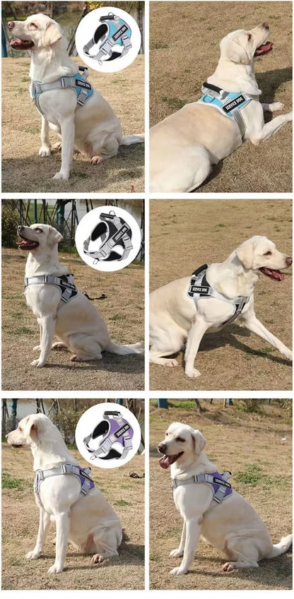 Adjustable Walking Dog Harness, Handle & Leash, No Pull Reflective Pet Vest, Soft Breathable Mesh, Suitable for Small & Big Dogs