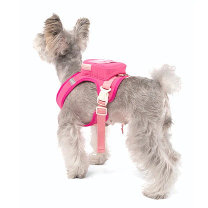 Cute Backpack Dog Harness with Leash, Reflective Soft Pet Vest for Small Medium Dogs Cats, Adjustable Walking Harness Set