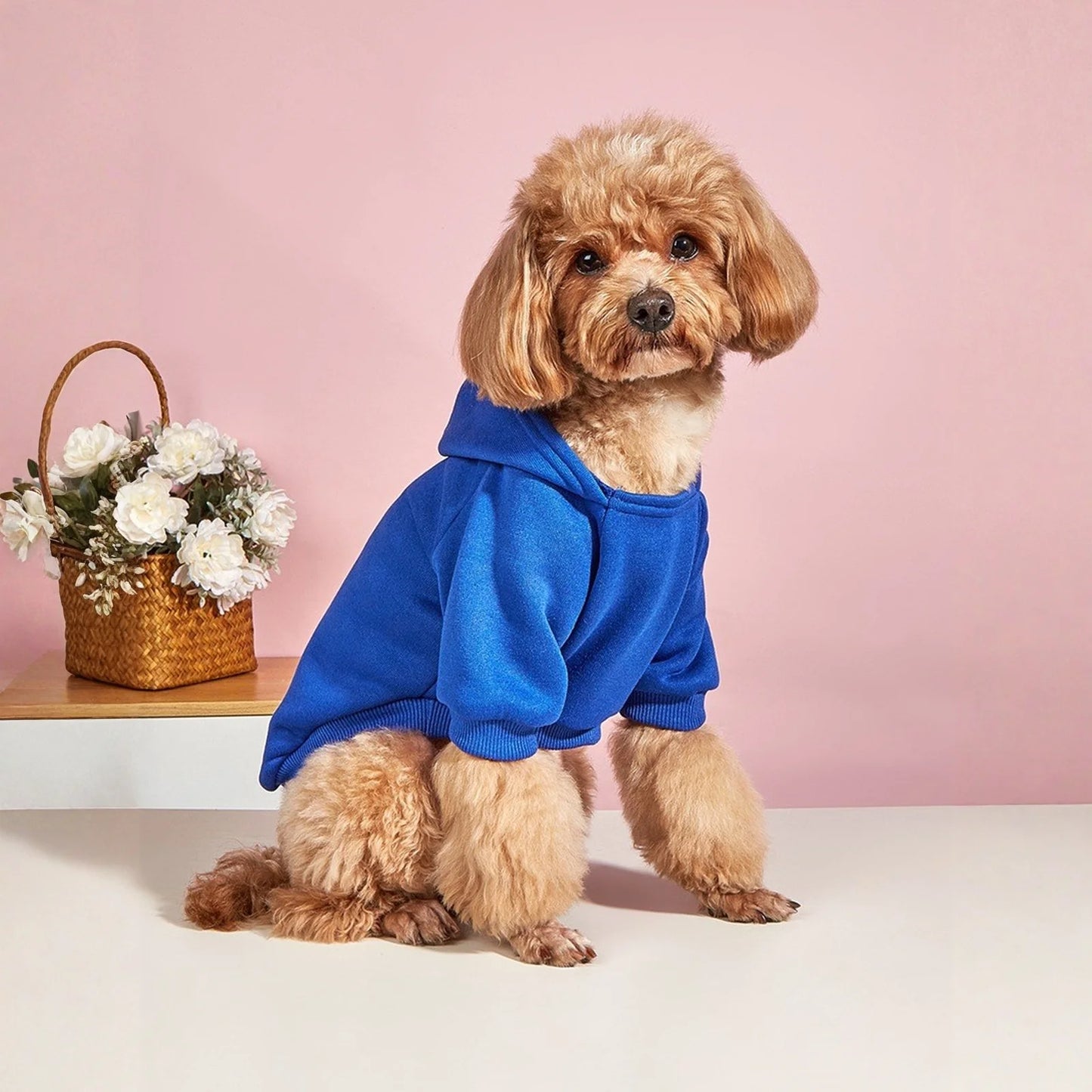 Winter Dog Clothes Sport Hoodies Sweatshirts Warm Coat Clothing Autumn For Small Medium Large Dogs Big Dogs Cat Pets PUppy